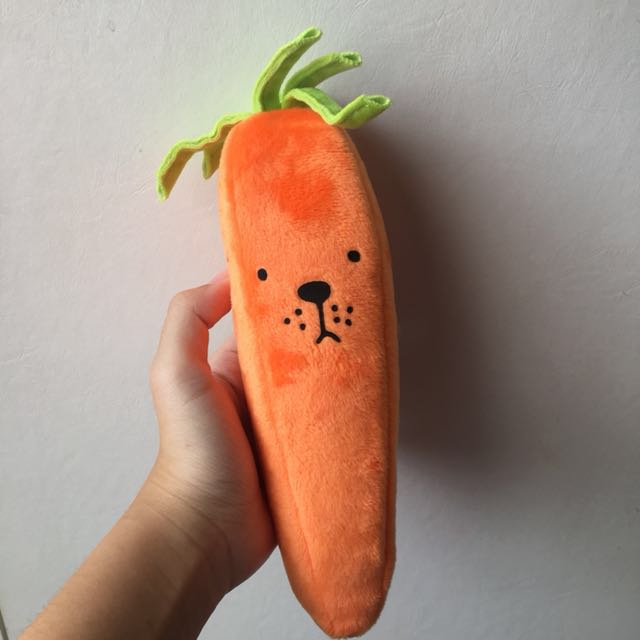 Cute Carrot Pencil Case From Japan For Wonderful Plushie Stationery