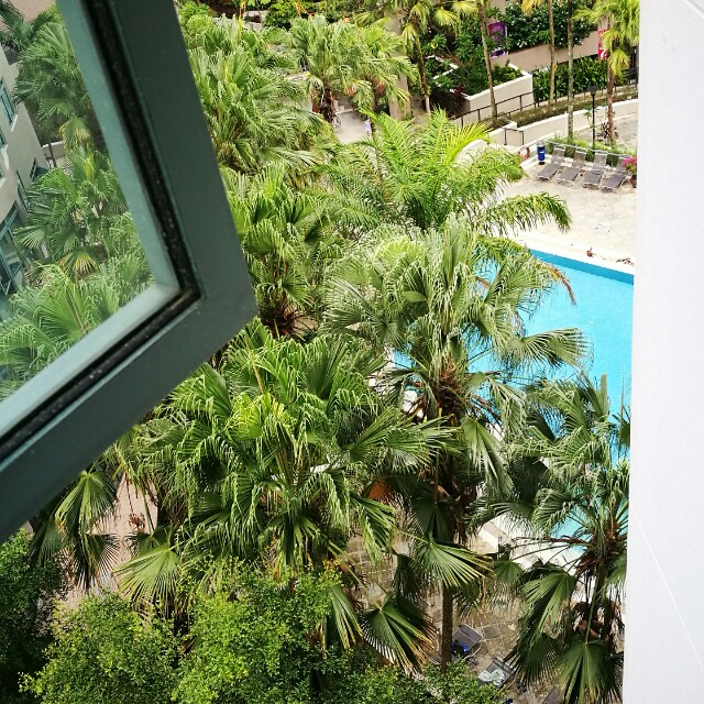 (Category: ) located in . Submitted by toptree (Listing ID 140497218, Image 1). Description: .