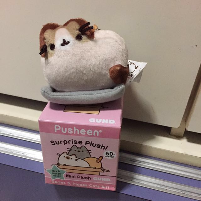 pusheen places cats sit