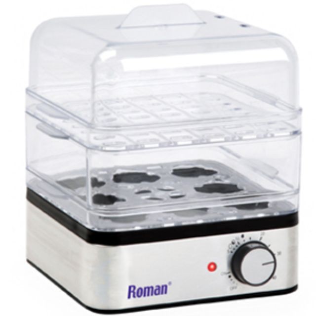 Roman Mini Steamer, TV & Home Appliances, Irons & Steamers on Carousell