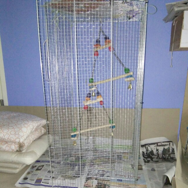 simple bird cage