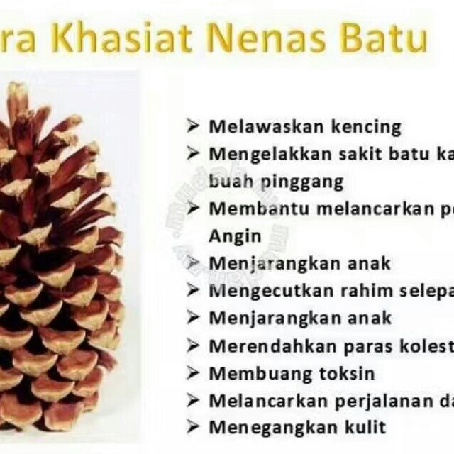 Teh Nenas Batu Rawat Dalaman Wanita Lelaki Shopee Malaysia