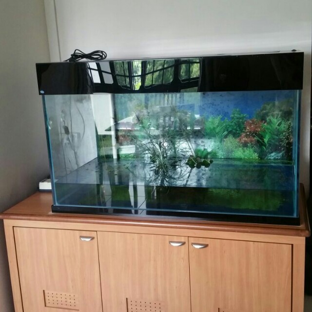 Fish Tank *Price is Negotiable *, Furniture & Home Living, Home Decor