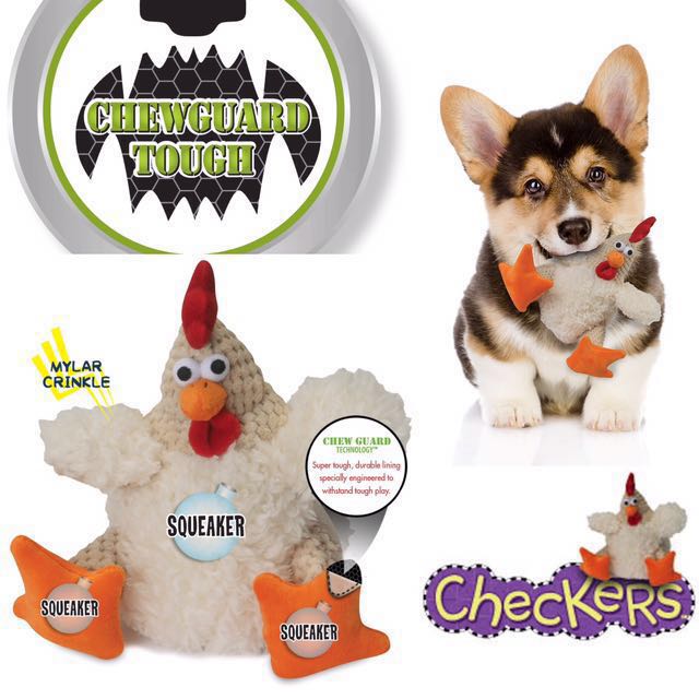 checkers pet accessories