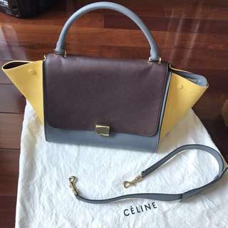 CELINE TRAPEZE BAG IN MULTICOLOR