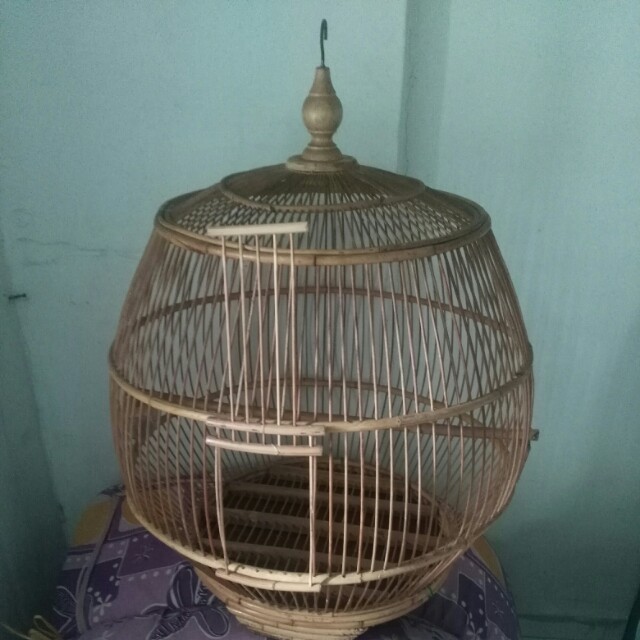 Sangkar Burung Murai Batu Pet Supplies Pet Accessories On Carousell
