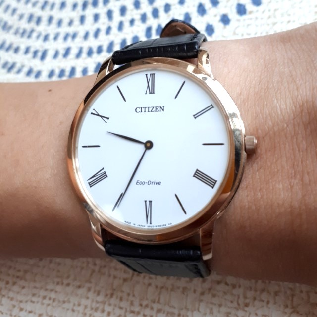 Citizen ar1113 store