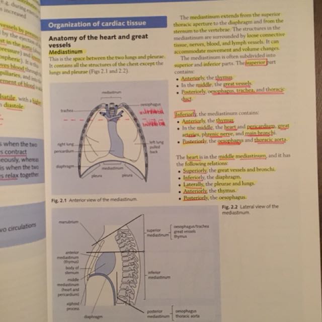 Crashcourse cardiovascular system, Hobbies & Toys, Books & Magazines