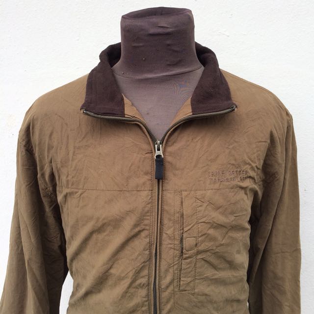 Irish setter mahogany red shop