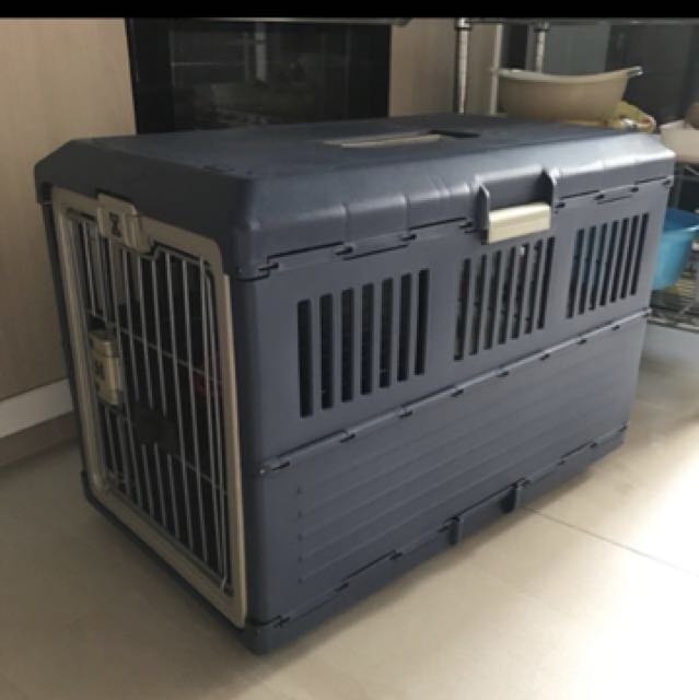 Iris collapsible pet sales carrier