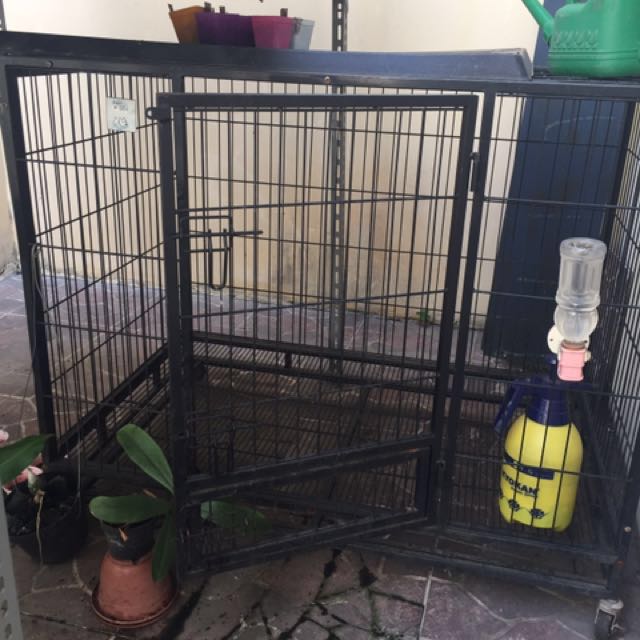 Kandang Anjing Besi Besar Kuat Bisa Dilipat Pet Supplies