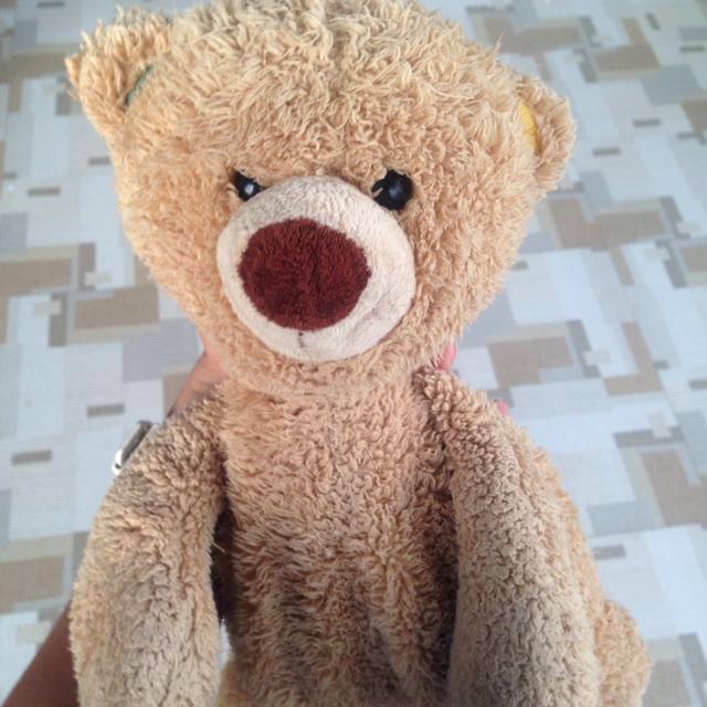 rag doll teddy bear