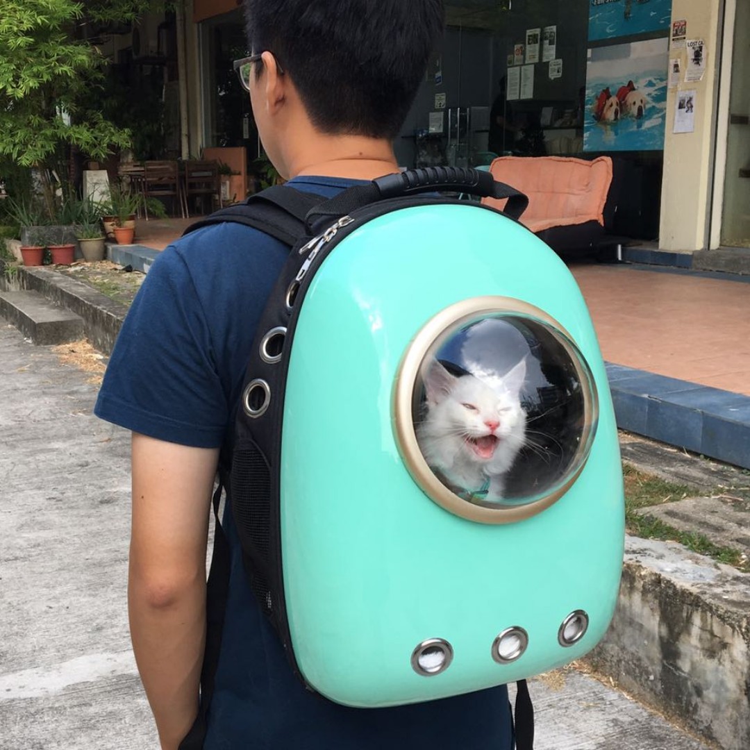 astro cat backpack