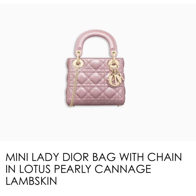 Mini Lady Dior With Chain Luxury Bags Wallets On Carousell