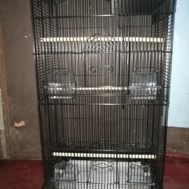 Sugar Glider Package Pets Supplies Pet Accessories On Carousell