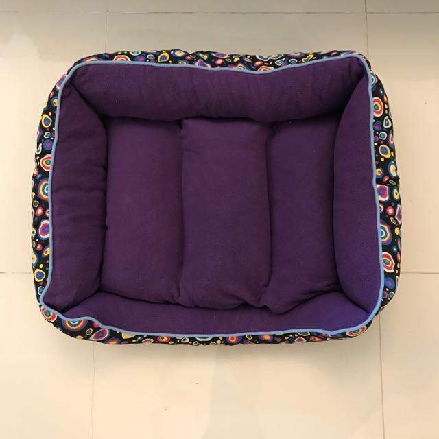 purple dog bed