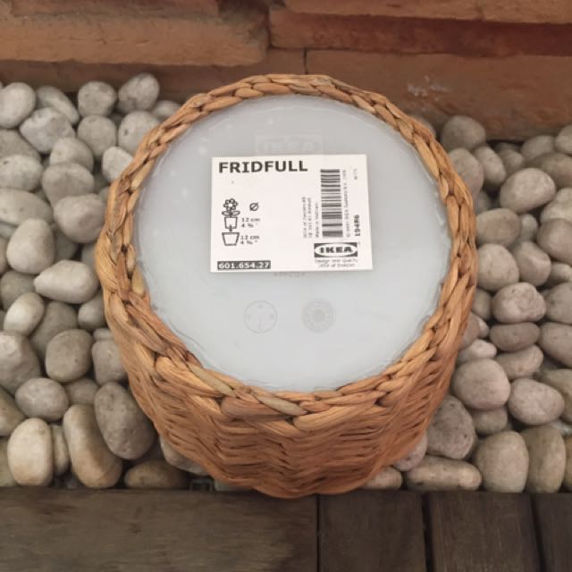 Ikea Fridfull Plant Pot Gardening On Carousell