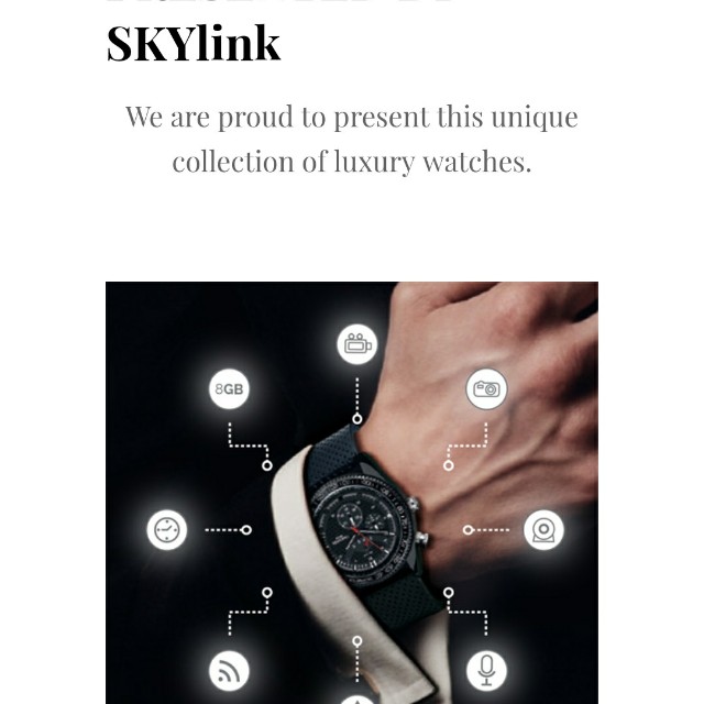 timewerk berlin camera watch