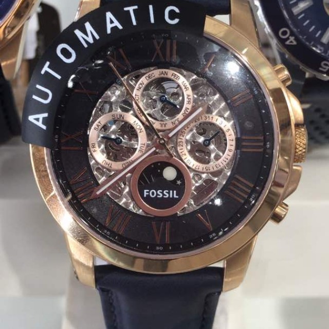 me3029 fossil