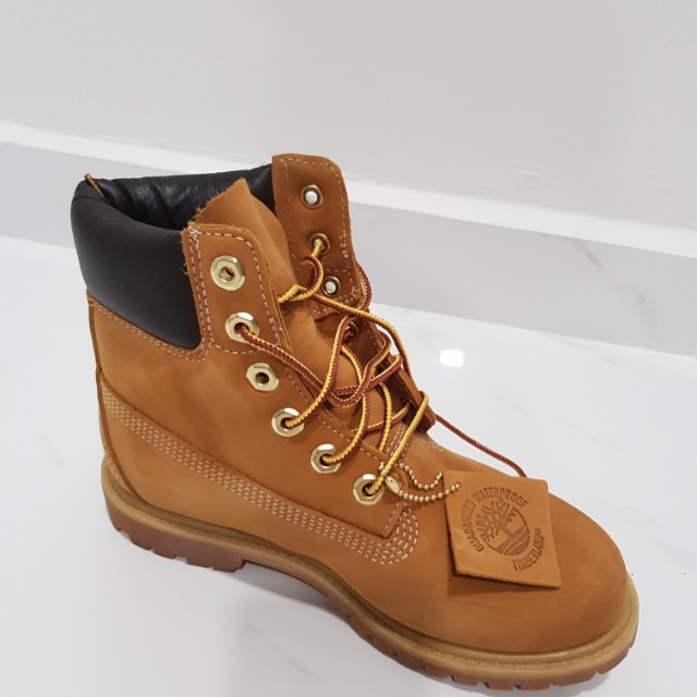 timberland women's premium