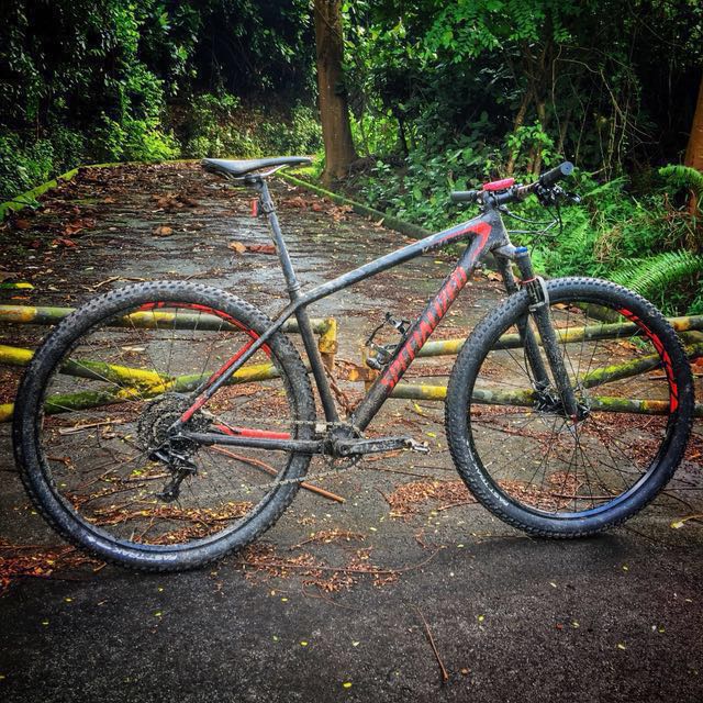 specialized 29er hardtail