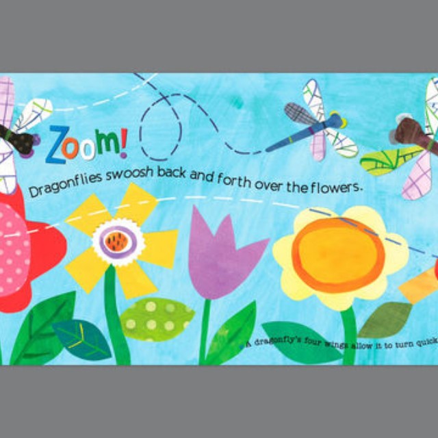 Brand New Hello World Backyard Bugs By Jill Mcdonald Board