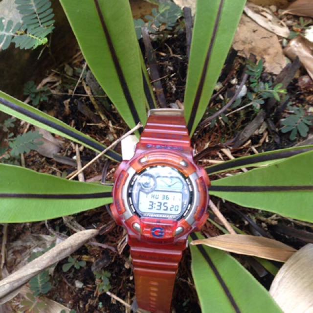 G shock dw 8900 store