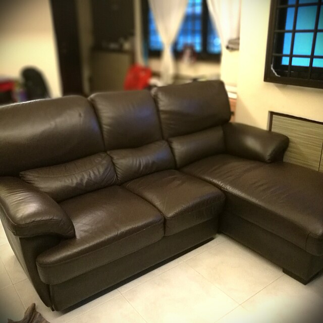 sea horse part leather sofa dix3 furniture home living furniture sofas on carousell