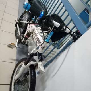 Ebike