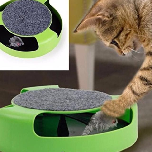 Catch The Mouse Motion Cat Toy On Carousell