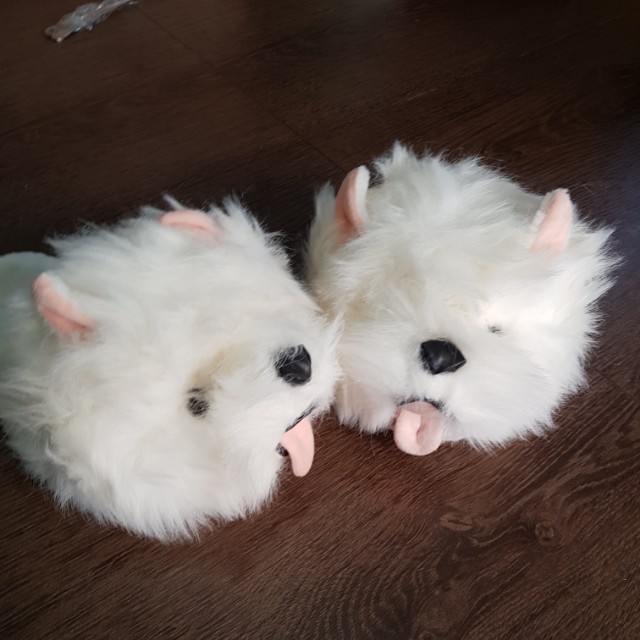 West highland hotsell terrier slippers
