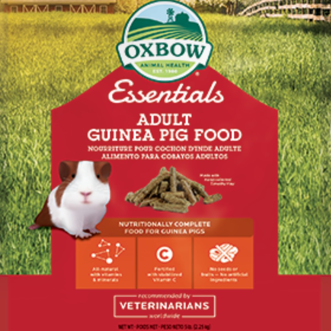 oxbow guinea pig food