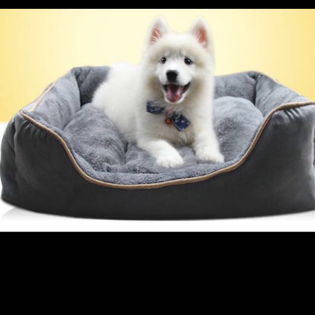 dog beds clearance