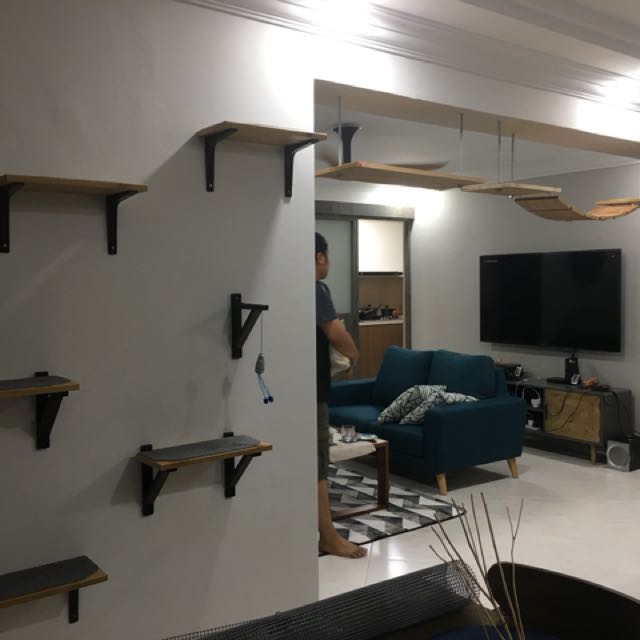 Customise Cat Highway, Pet Supplies on Carousell