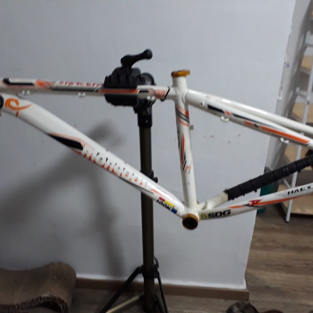 Mongoose tyax expert 2017 online