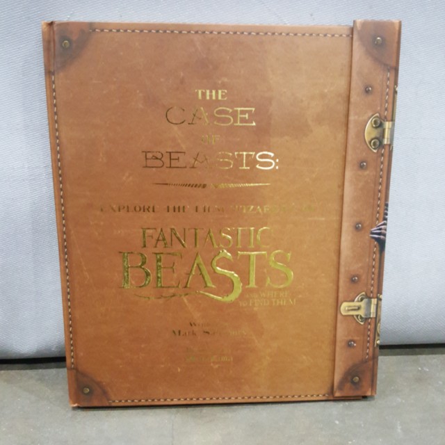 Harry Potter The Case Of Beasts Explore The Film Wizardry Of