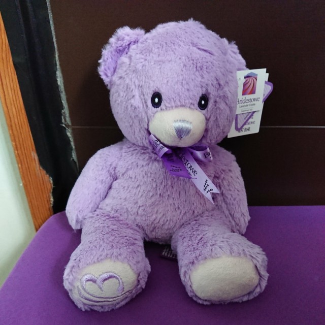 heat pack teddy bear
