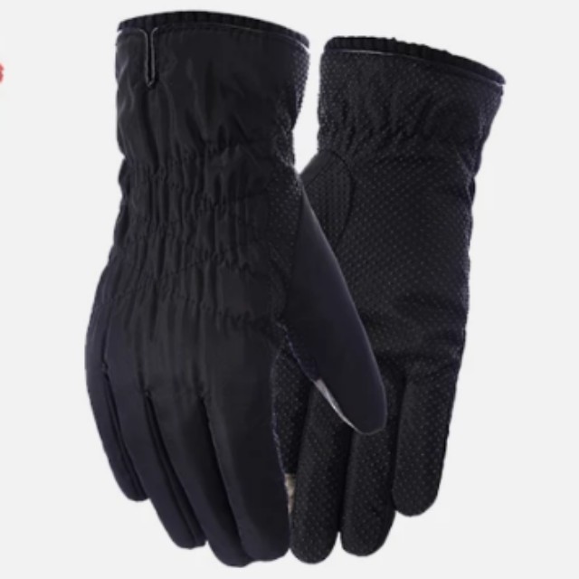 ski gloves price