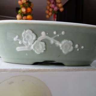 Bonsai Pots