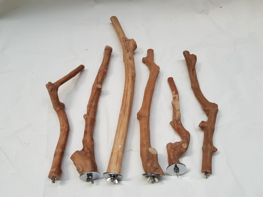 Parrot Java Wood Perch, Pet Supplies, Homes & Other Pet Accessories on Carousell