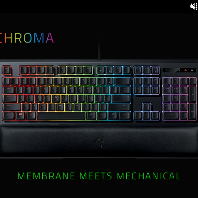 Razer Ornata Chroma, Computers & Tech, Parts & Accessories, Mouse ...