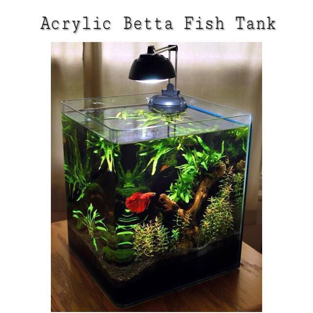 Acrylic Betta Fish Tank, Pet Supplies, Homes & Other Pet Accessories on ...
