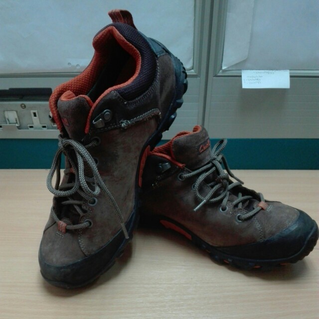 Clark ortholite online