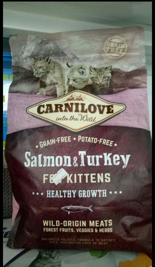 carnilove kittens