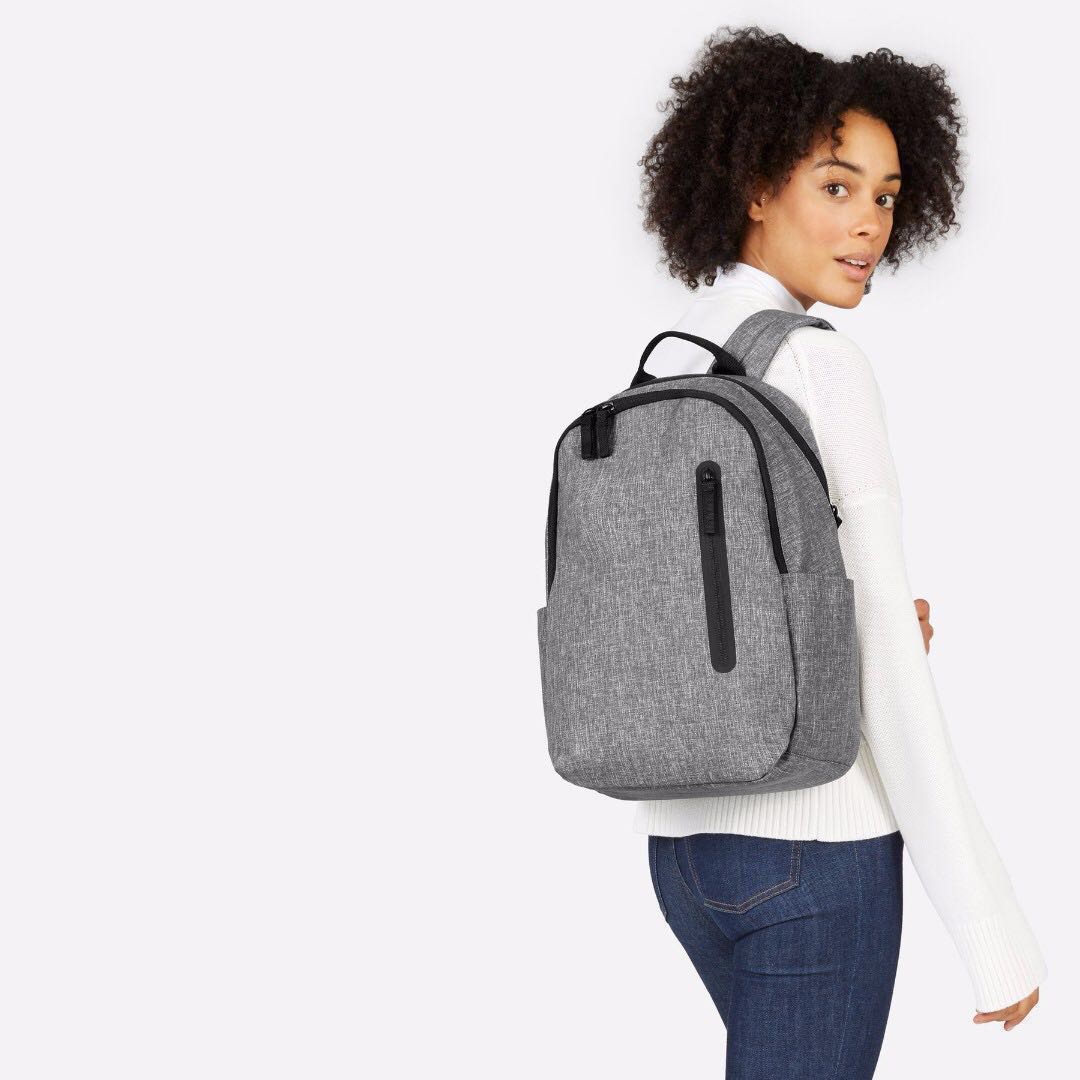Everlane the nylon commuter online backpack