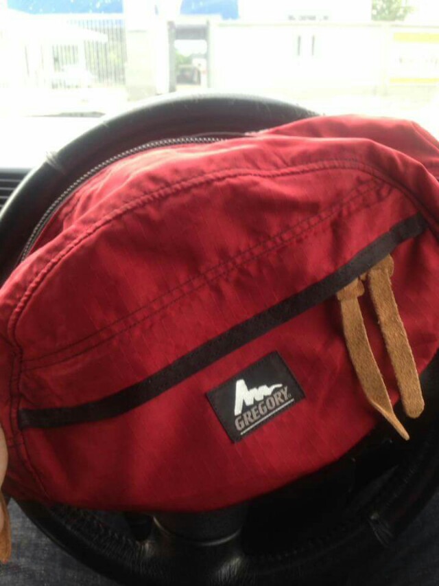 Gregory Pouch Bag