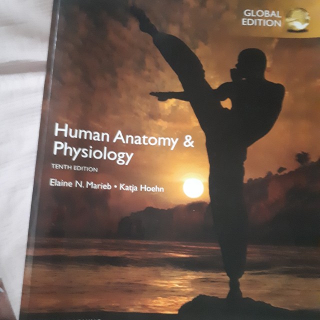 Human Anatomy and Physiology tenth edition by Elaine N. Marieb and