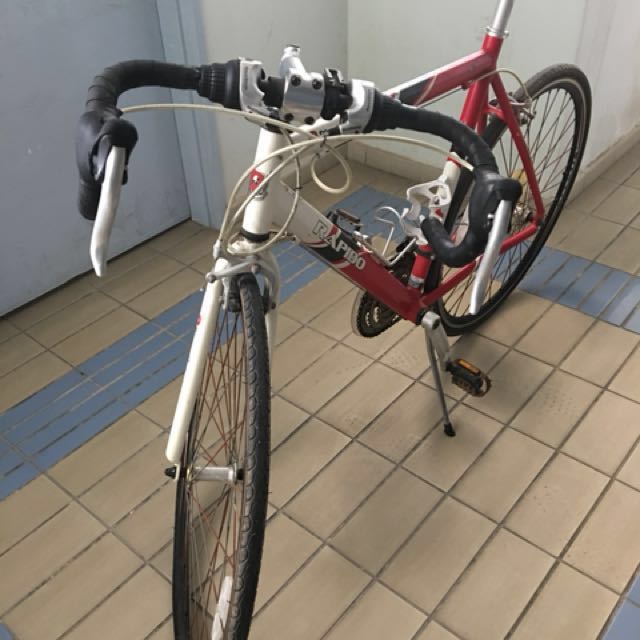 Lamborghini rapido hot sale road bike