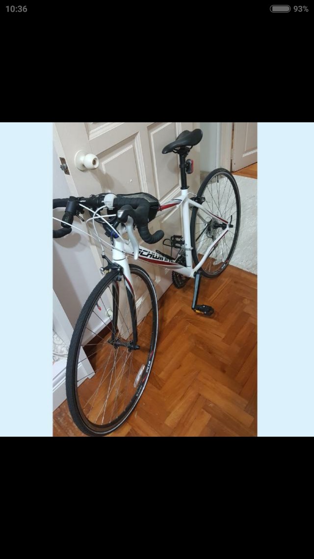 schwinn fastback road bike