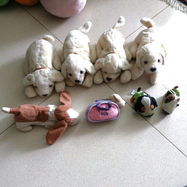 puppy with babies toy